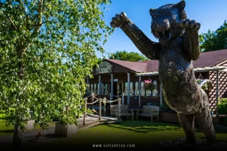 Big Cat Sanctuary UK 2025