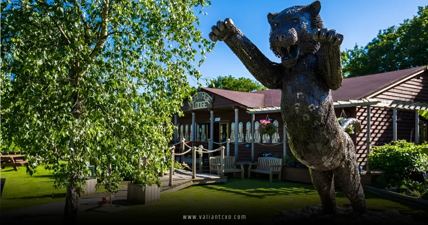 Big Cat Sanctuary UK 2025