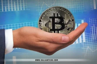 Cryptocurrency Investment Guide for Business Owners