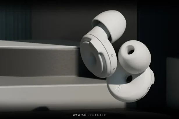 Loop Earplugs