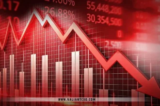 What to Do When Stock Market Crashes Strategy