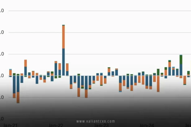 The International Monetary System and the Canary