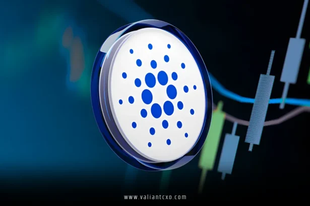 Long-term Cardano Holders Are Not Taking Profit