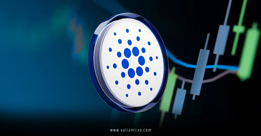 Long-term Cardano Holders Are Not Taking Profit
