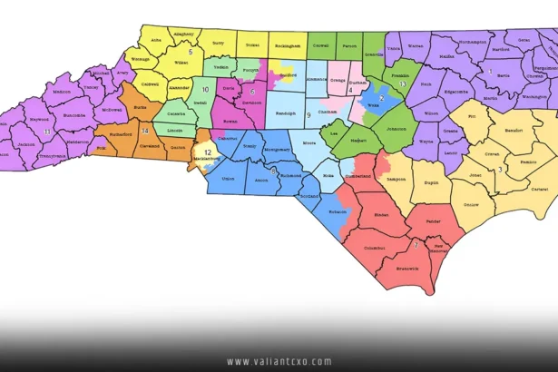 What is Gerrymandering