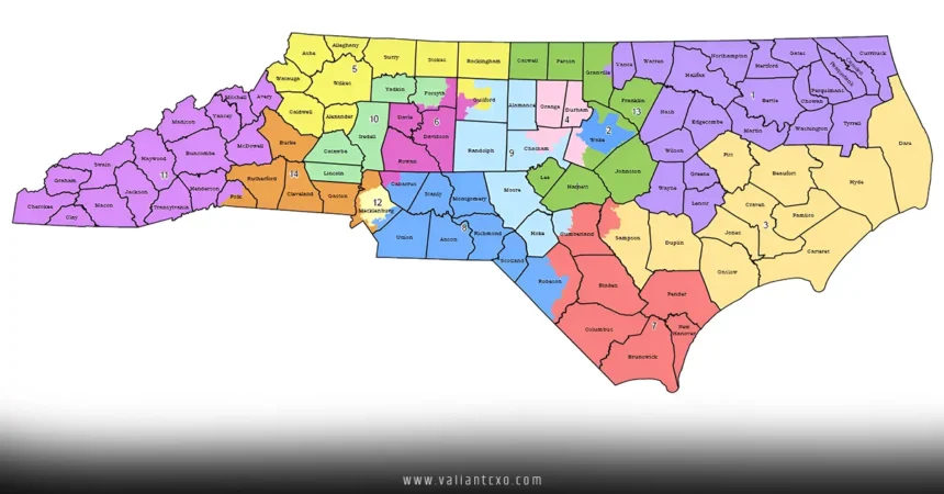 What is Gerrymandering