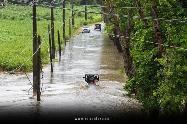 Hurricane Erin Lashes Caribbean with Damaging Wind