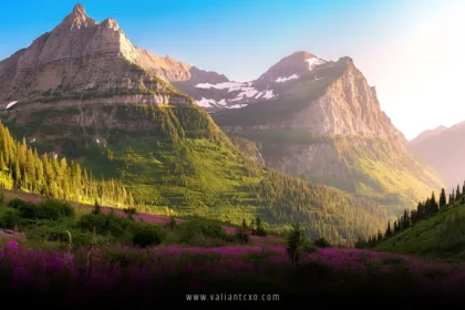 Best National Parks to Visit in the USA
