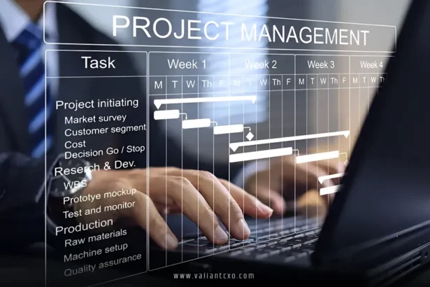 "Project management software comparison 2025"