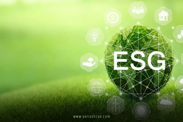 Sustainable Entrepreneurship