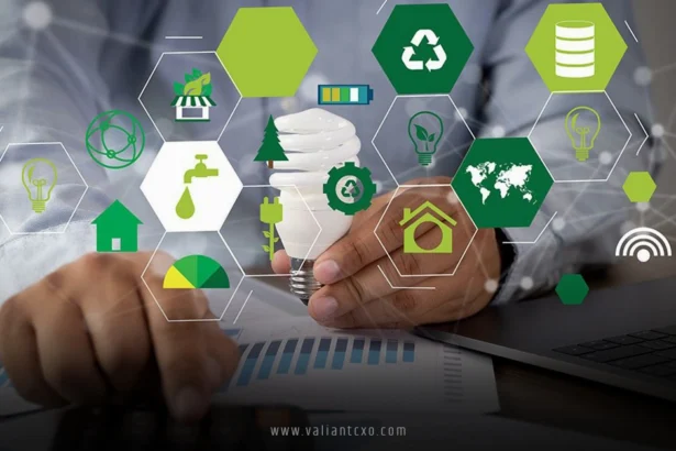 Sustainable Entrepreneurship