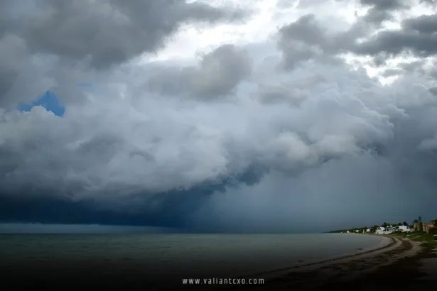 Tropical Storm