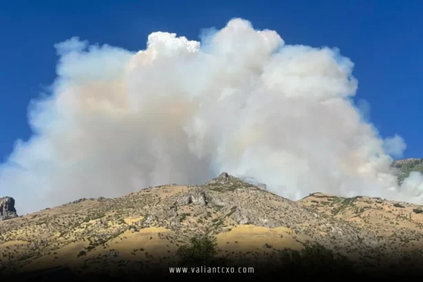 Wildfire Breaks Out in Buckley Draw Canyon