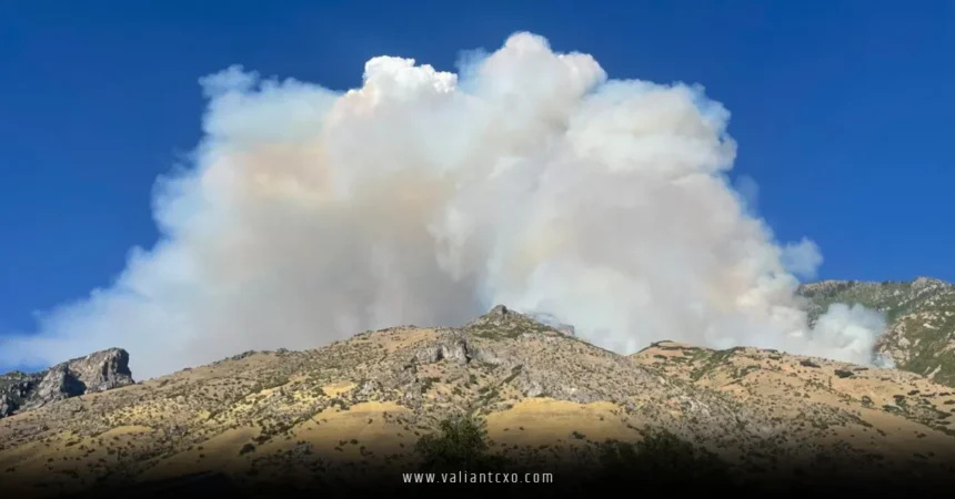 Wildfire Breaks Out in Buckley Draw Canyon