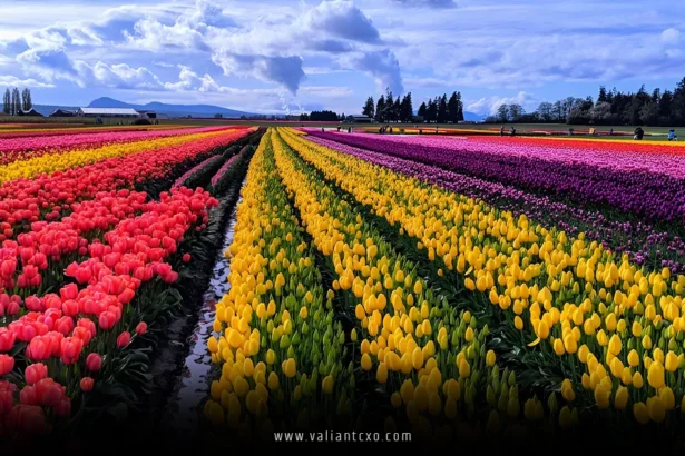 Best Place to Go in April in USA