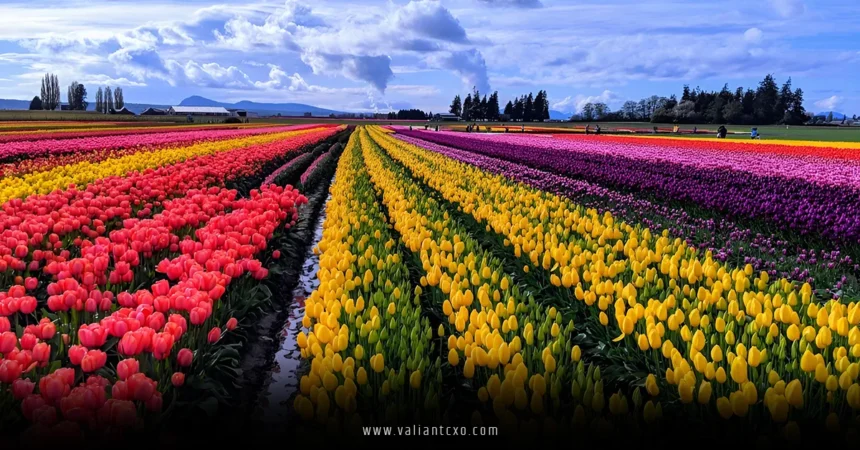 Best Place to Go in April in USA