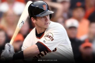 Best USA Baseball Bats 2024