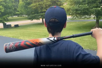 Best USA Bat 2024