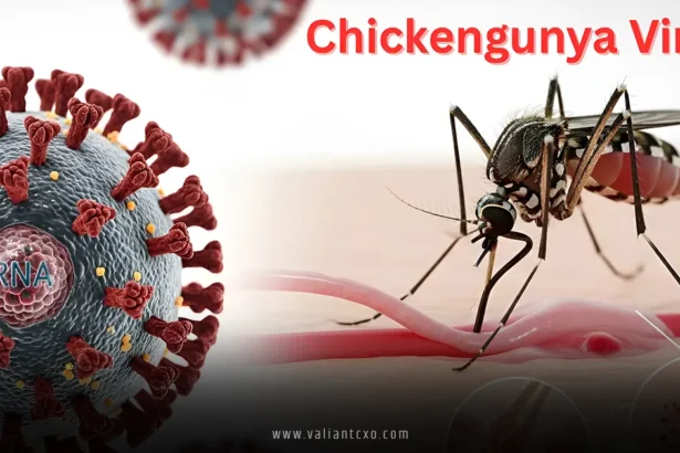 Chikungunya Virus
