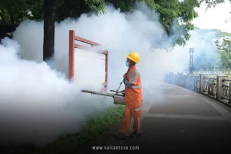 Chikungunya Virus China