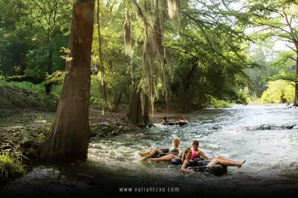 Best Family Vacations in USA