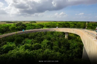 Best Time to Visit Florida USA