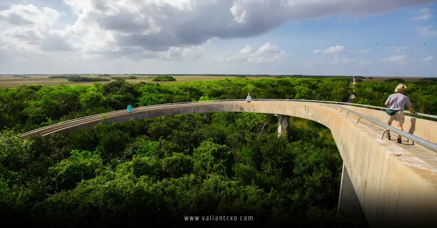 Best Time to Visit Florida USA
