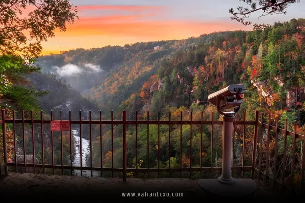 Best Places to Visit in Georgia USA