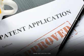 How to Get Patents in USA