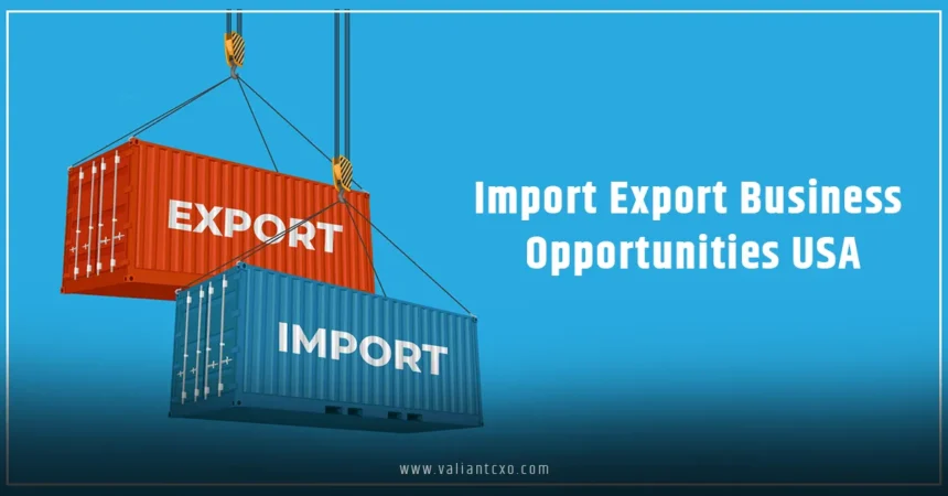 Import Export Business Opportunities USA