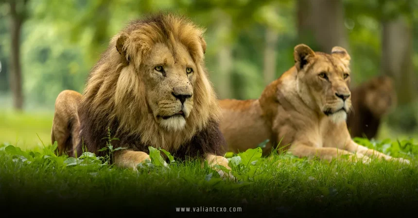 Longleat