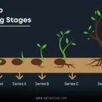 How to Raise Seed Funding for Startups