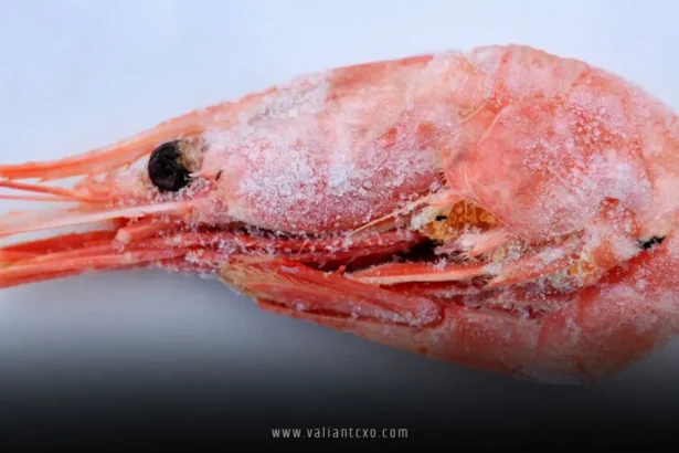 Walmart Recalls Shrimp Possibly Exposed to