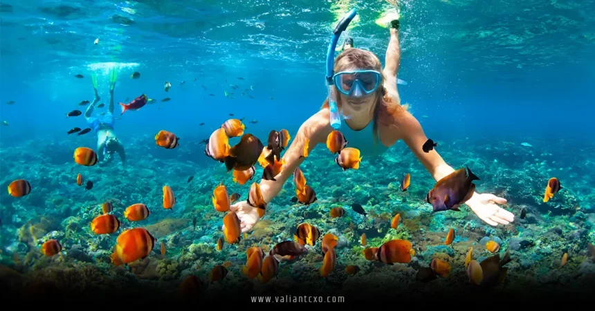 Best Snorkeling in the USA
