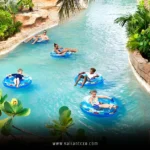 Best Places to Visit in Summer in USA with Family