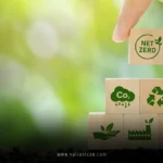 Sustainability Practices for American Businesses