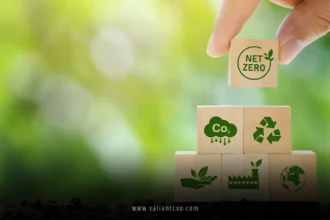 Sustainability Practices for American Businesses