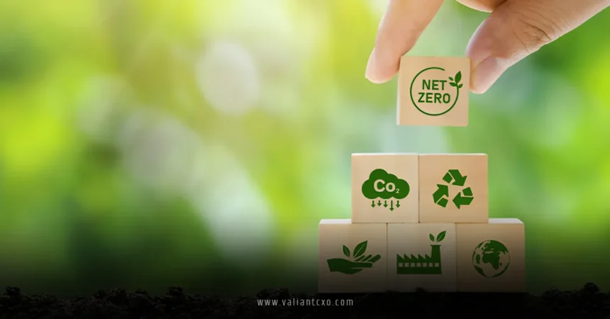 Sustainability Practices for American Businesses