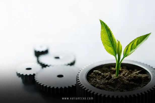 Crafting a Sustainable Supply Chain