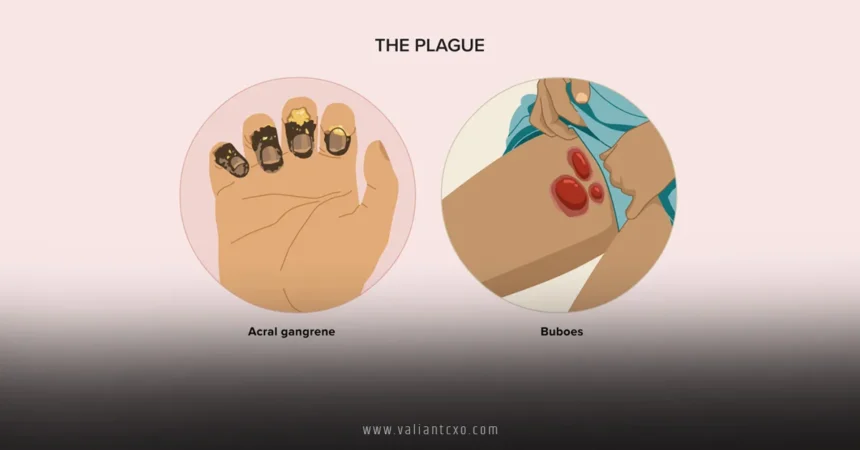 The Plague