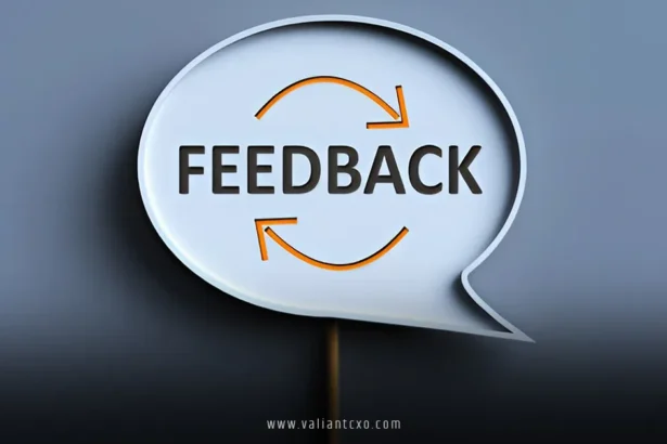 Using Customer Feedback to Drive Innovation