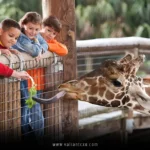 Best Zoos USA