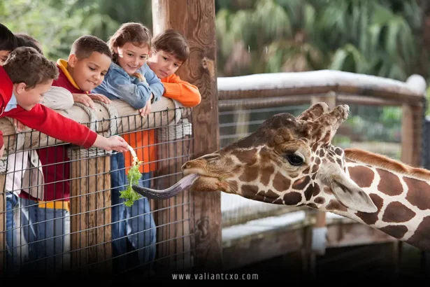 Best Zoos USA