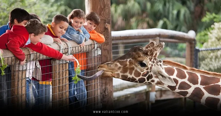 Best Zoos USA